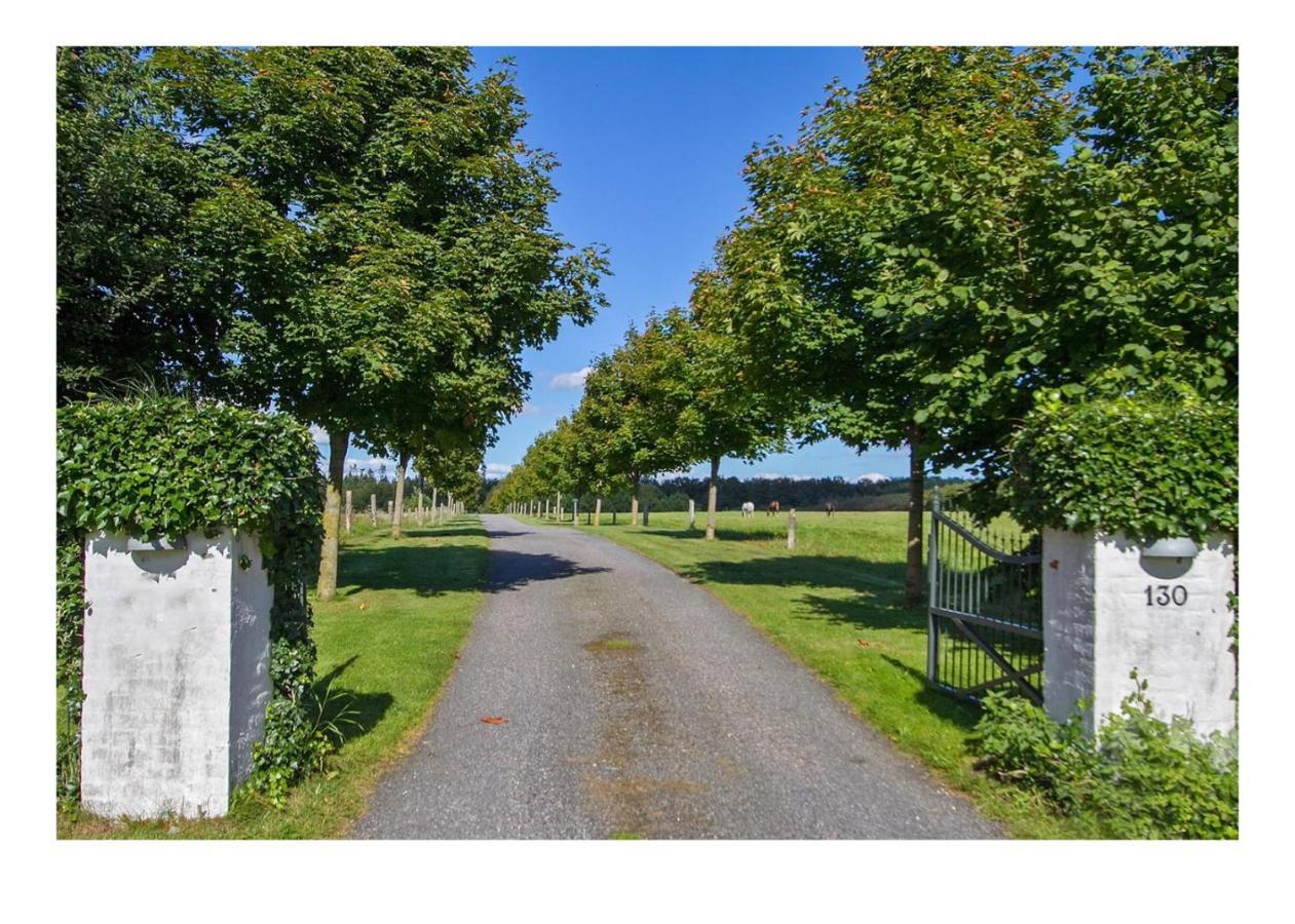 Holmsminde Bed & Breakfast Viborg Eksteriør bilde